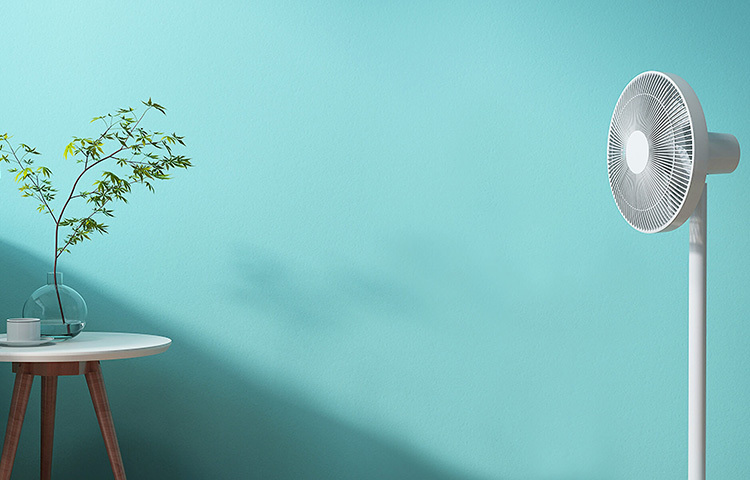 ‘অপ্রয়োজনে বাতি ও ফ্যান বন্ধ’-এটা বাড়ির কঠিন নিয়ম করে ফেলুন। বাড়িতে ছোট সদস্য থাকলে তাকে দায়িত্ব দিন এদিকে খেয়াল রাখতে। তাহলে সে নিজেও সতর্ক হবে। তাকে দেখে শিখবেন বড়রাও। ছবি: সংগৃহীত