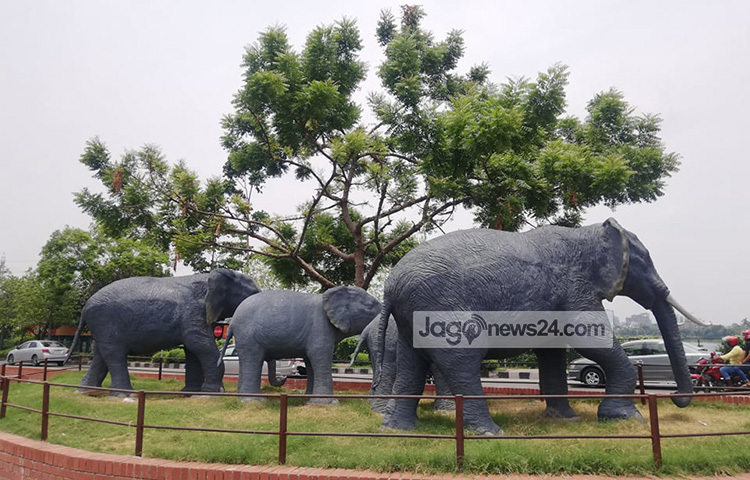 সব সময়ই হাতিরঝিলে পর্যটকদের আনাগোনা লেগে থাকে। শহরের কর্মব্যস্ত মানুষও একটু অবসর কাটাতে ছুটে আসেন হাতিরঝিলে। এবার সময় কাটানোর সেই হাতিরঝিলে গড়ে উঠেছে হাতির পালের ভাস্কর্য। ছবি: মাহবুব আলম