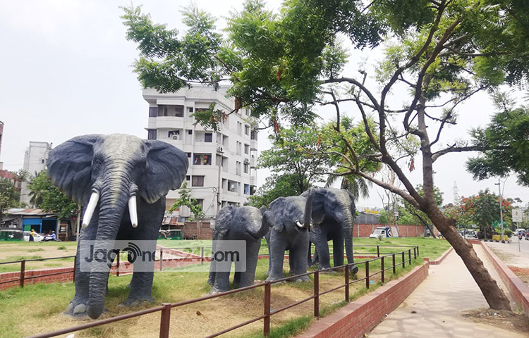 এ যেন জীবন্ত হাতির পাল! ছবি: মাহবুব আলম