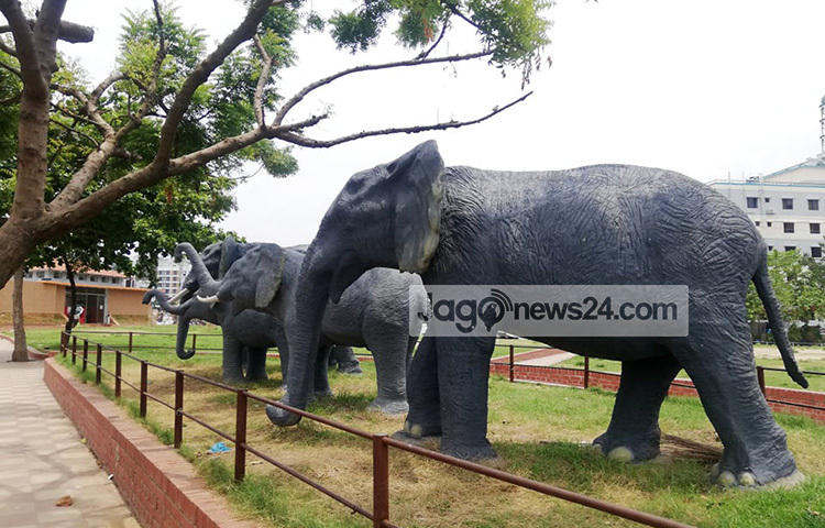 হাতিরঝিলের এই হাতির পাল দেখে মানুষ অনুভব করছে হাতিরঝিলের আসল সৌন্দর্য। ছবি: মাহবুব আলম
