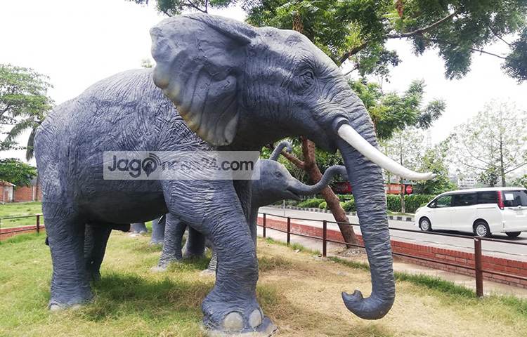 দৃষ্টিনন্দন হাতির পালের দেখে মেলে পুলিশ প্লাজার পেছনে এবং এফডিসির দিকে। ছবি: মাহবুব আলম
