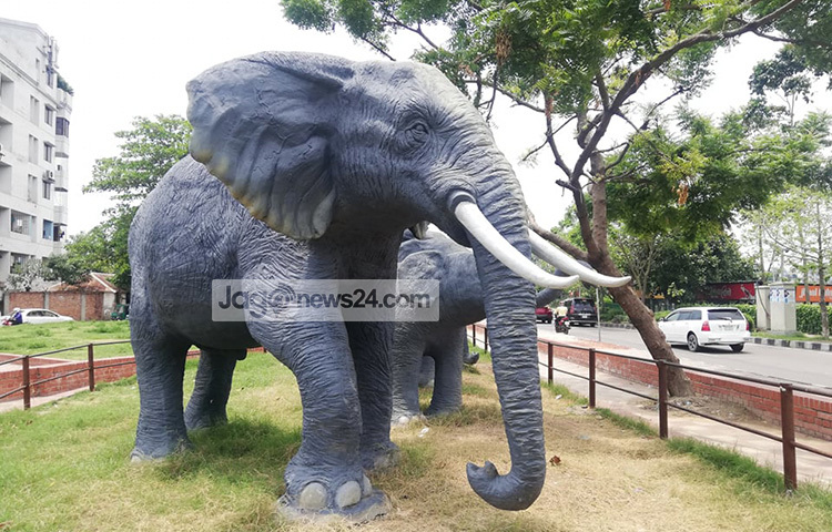 সম্প্রতি হাতিরঝিলের গুলশান পুলিশ প্লাজার পেছনে এবং এফডিসির দিকে হাতির পালের ভাস্কর্য দেখা যাচ্ছে। ছবি: মাহবুব আলম