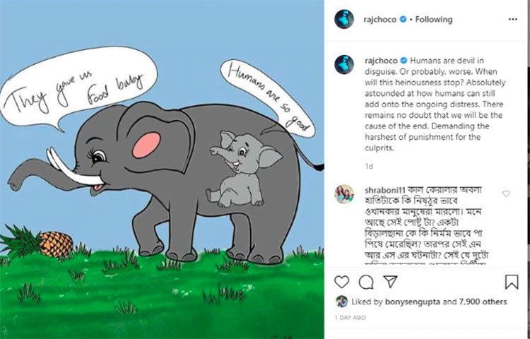 রাজ চক্রবর্তী লিখেছেন, ‘মানুষ আসলে ছদ্মবেশে থাকা শয়তান, কিংবা আরও খারাপ কিছু। কবে এই জঘন্যকাজগুলো বন্ধ হবে? আরও অবাক হচ্ছি, মানুষ কীভাবে বর্তমান বিপর্যয়কে আরও বাড়িতে তুুলতে পারে। আমরাই ধংসের কারণ হবো, তাতে সন্দেহ নেই। দোষীদের কঠোর শাস্তি চাইছি’।