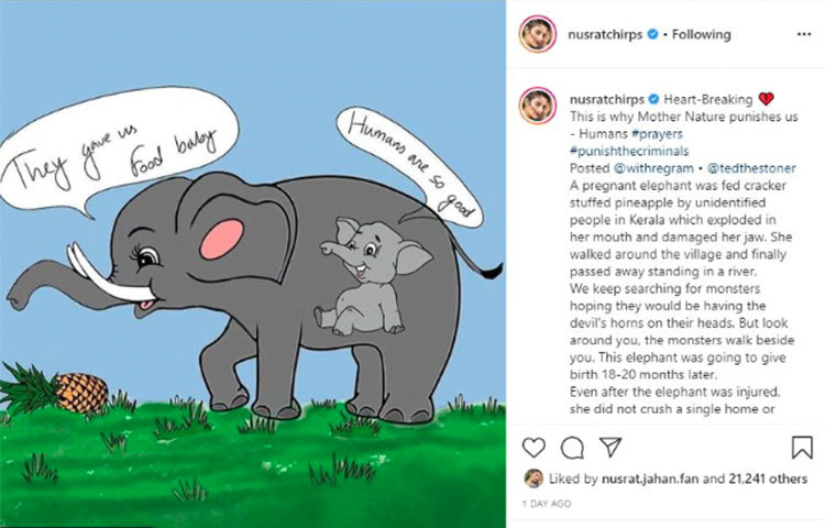 কেরালার যেভাবে নিরাপরাধ গর্ভবতী হাতিকে নৃশংসভাবে খুন করা হয়েছে তা সোশ্যাল মিডিয়ায় গর্জে ওঠেছেন সাংসদ অভিনেত্রী নুসরত জাহান। ‘'আমাদের চারপাশে এই দানবরা ঘুরে বেড়াচ্ছে। এদের মাথায় শয়তানের মতোই সিং থাকা উচিত। হাতিটি মাত্র ১৮-২০ মাস পরেই সন্তানের জন্মদিত। অথচ হাতিটি আহত হওয়ার পরও কাউকে পিষে দেয়নি। যন্ত্রণায় ছটফট করে নদীতে দাঁড়িয়েছিল।...যাঁরা এতটা নৃশংস হতে পারেন, তারা কেউ মানুষই নন। এদের জন্য শুধু আইন নয়, আইন কার্যকর করা হোক, খারাপভাবে শাস্তি দেয়া হোক। কারণ, এই দানবরা আইনকে ভয় পায় না।’