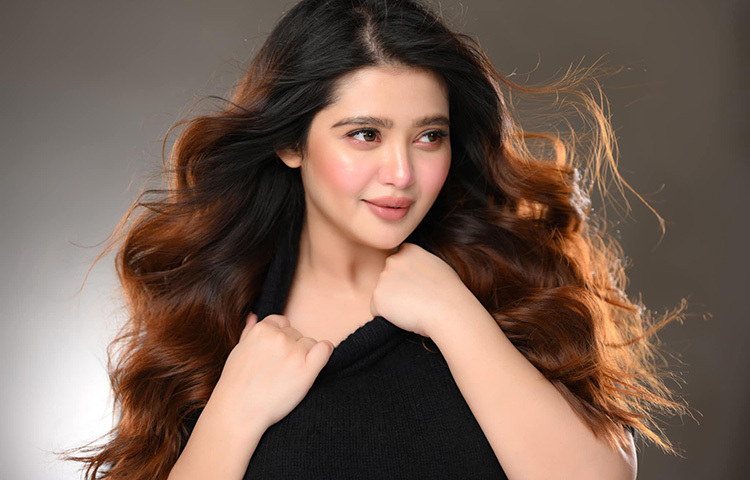 এনা সাহা মূলত ২০১১ সাল থেকে শোবিজে কাজ শুরু করেন। ছবি: ফেসবুক