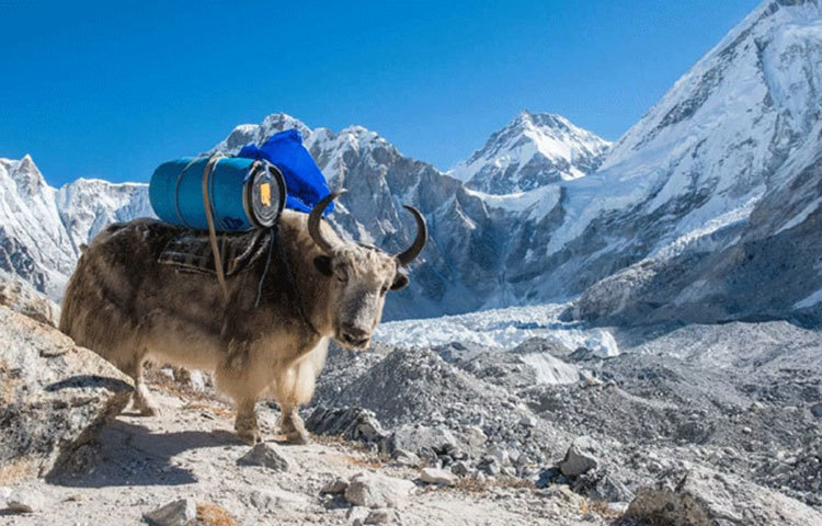 ১৯৭৫ ও ২০০৫, দুবার এভারেস্টের উচ্চতা মেপেছিল নেপাল। প্রথমবার উচ্চতা বলা হয়েছিল ৮৮৪৮.১৩ মিটার। ২০০৫ সালে বলা হয় ৮৮৪৮.৪৩ মিটার।