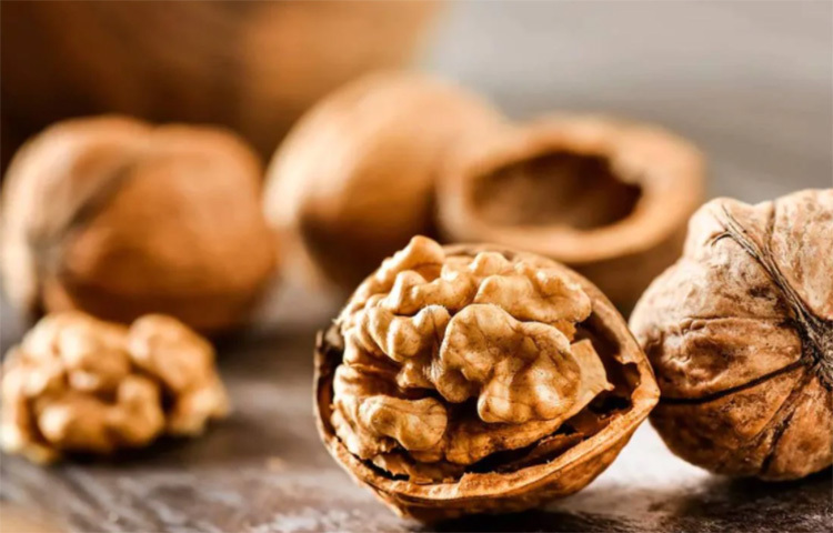 ওয়ালনাট, পাইননাট, কাজুবাদাম, আমন্ডে আছে ভিটামিন ই এবং জিঙ্ক। তাছাড়া বাদামজাতীয় যেকোনো ফলেই প্রচুর অ্যান্টি-অক্সিড্যান্ট আছে। চোখের কোষকে সুস্থ রাখে বাদামজাতীয় খাবার। ছবি: সংগৃহীত