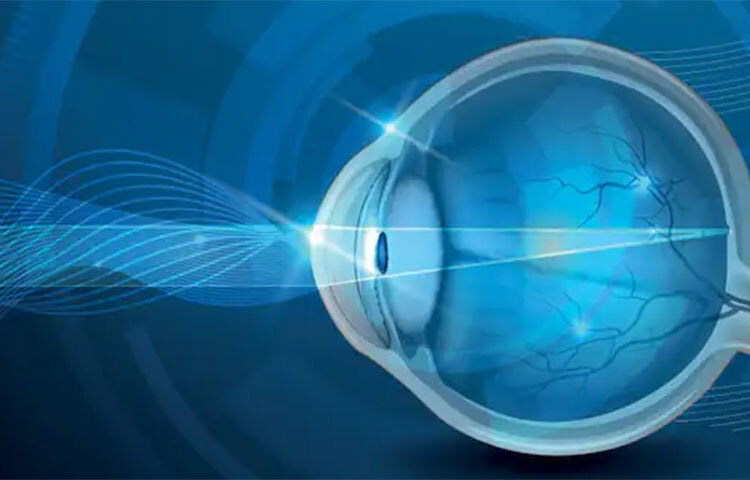 চোখের জন্য উপকার সেই সব খাবার খাওয়া উচিত। ভিটামিন-এ (ক্যারোটিন সমৃদ্ধ খাবার), ওমেগা থ্রি ফ্যাটি অ্যাসিড, ফাইটো নিউট্রেয়ান্ট রয়েছে এমন খাবার খান। গাজর যেমন চোখের জন্য খুব উপকারী। ছবি: সংগৃহীত