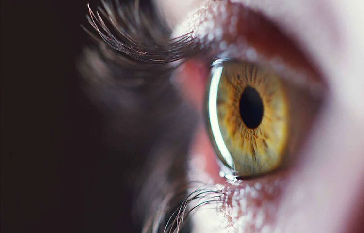 চোখ ভালো রাখার জন্য বিভিন্ন কৌশল রয়েছে। মাঝে মধ্যে চোখের পাতা ফেলা, চোখ বন্ধ রাখা প্রভৃতি। কিন্তু এগুলোর থেকেও বেশি উপকার পাওয়া যায় যা থেকে তা হলো, খাবার। শরীরে দুই ভিটামিনের অভাব কিন্তু দৃষ্টিশক্তিও কেড়ে নিতে পারে। ছবি: সংগৃহীত