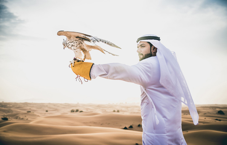 অত্যন্ত জ্ঞানী লোক ছিলেন তিনি। প্রকৃতিবিজ্ঞানের ওপর ছিলো তার অগাধ পড়াশোনা। পাখি বিশারদ হিসাবে নাম কুড়িয়েছিলেন অনেক। দেশ-দেশান্তরে পাখিদের আনাগোনা নিয়ে সর্বপ্রথম তিনিই গবেষণা চালান। বাজপাখির খেলার ওপর তিনি লিখেছেন ‘দ্য আর্ট অব ফ্যালকনরি’ নামক বিখ্যাত বই। ছবি: সংগৃহীত