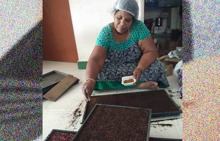 ভারতের চেন্নাইয়ের ওই ব্যক্তির নাম বিদ্যাধরন নারায়ন। লেটুস, আলফা-আলফা শাক চাষ করেই এই মূহূর্তে তিনি বড় ব্যবসায়ী হয়ে উঠেছেন। তার সংস্থার নাম দিয়েছেন ‘শাখি মাইক্রোগ্রিনস’। কীভাবে এমন চাষের কথা মাথায় এল তার? কীভাবেই বা এত লাভ করছেন তিনি?