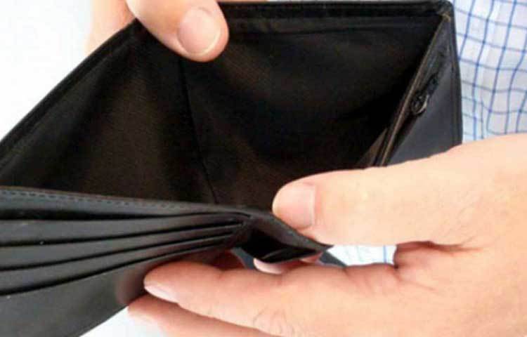 অফিসিয়ালি ২০১৮ সালে এই ব্যবসা শুরু করেন বিদ্যাধরন। কিন্তু তারও আগে, ২০১৪ সাল থেকে তিনি চাষাবাদ করতে শুরু করেছিলেন। সেসময় বিদ্যাধরনের আর্থিক অবস্থা খুবই খারাপ ছিল।