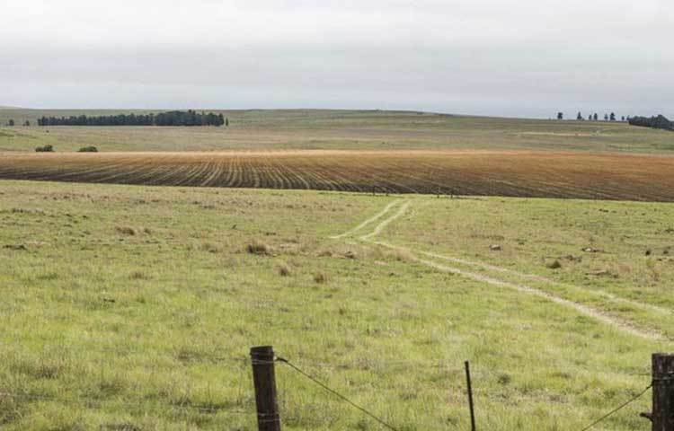 এতদিনে চাকরি থেকে যা উপার্জন করেছিলেন, ২০১৪ সালে সেগুলো দিয়ে প্রথমে চেন্নাই থেকে ৯০ কিলোমিটার দূরে উথিরামেরুরে তিন লাখ টাকা দিয়ে দেড় একর জমি কেনেন।