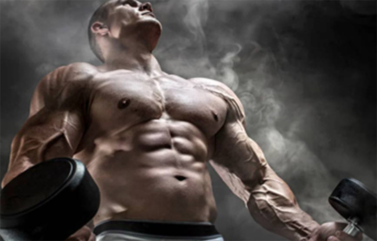 একবার মাটিতে শুয়ে থাকা অবস্থায় পর পর একাধিক ব্যক্তি দৌড়ে এসে ফ্রাঙ্কের পেটে লাফিয়ে পড়ছিলেন। সেই তীব্র আঘাতও সহ্য করে নিয়েছিল তার পেটের পেশী। ছবি: সংগৃহীত