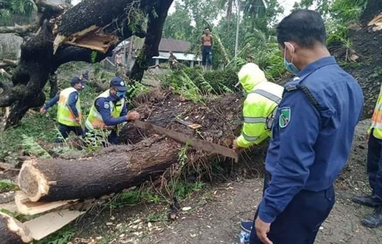ঝড়ের আঘাতে রাস্তায় পড়ে থাকা গাছ, এখনো উদ্ধার করা হচ্ছে।