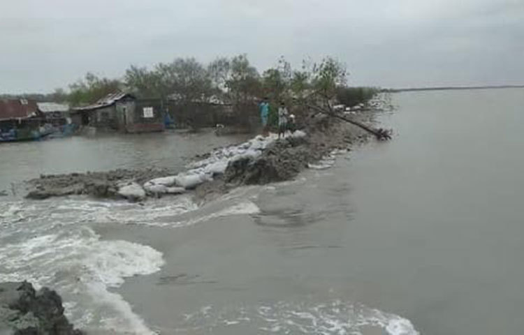বাঁধ ভেঙে ডুবেছে ফসলের মাঠ।