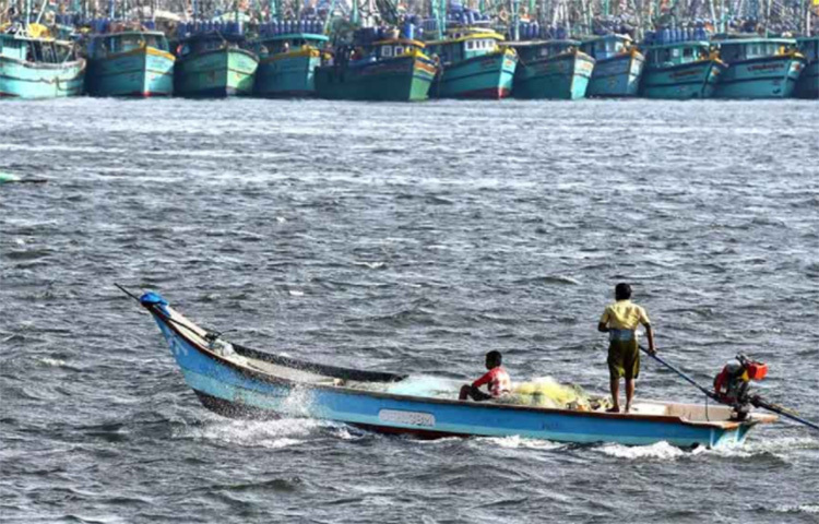 অন্যদিকে, ওই ওজনের একটি স্ত্রী ঘোলের দাম অনেকটাই কম হয়। এক থেকে দুই লাখ রুপির মধ্যে ওঠানামা করে। ছবি: সংগৃহীত