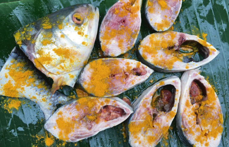 প্রথমে ইলিশটি টুকরা টুকরা করে কাটুন। একটি মাছের জন্য ১ চা চামচ হলুদের গুঁড়া, ১ চা চামচ মরিচের গুঁড়া, আধা চা চামচ ধনিয়ার গুঁড়া ও পরিমাণমতো লবণ দিয়ে দিয়ে মাখুন। ছবি: সংগৃহীত