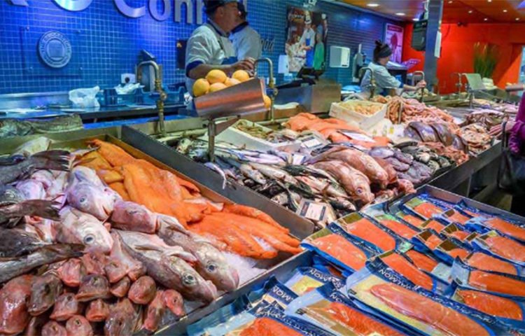 রোগ প্রতিরোধ ক্ষমতা বাড়াতে এবং যৌন ক্ষমতা বাড়াতে সাহায্য করে ওই মাছের হৃদয়। যে কারণে এ হৃদয়কে ‘সোনার হৃদয়’ও বলা হয়। মাছের পাখনাও ফেলে দেওয়া যায় না। পাখনা দিয়ে ওনানা ওষুধ তৈরি হয় এবং দামি মদ তৈরিতে ব্যবহৃত হয়। ছবি: সংগৃহীত