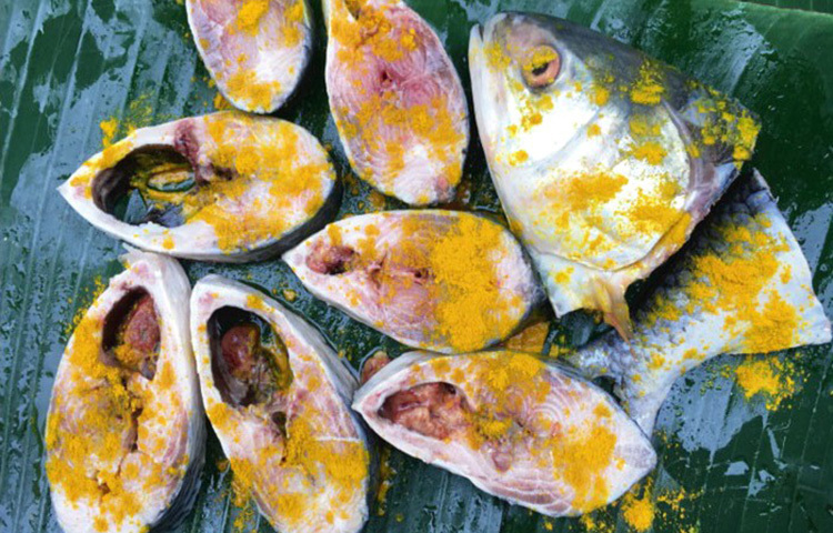 মসলামাখা মাছের টুকরা একটি মুখবন্ধ বাটিতে নিন। এরপর ডিপ ফ্রিজে রেখে দিন। এভাবে রাখলে কয়েক মাস ভালো থাকবে। ছবি: সংগৃহীত