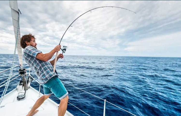 দেহের ভিতরের অঙ্গ-প্রত্যঙ্গের আকার এবং কতটা পুরু তার উপরও নির্ভর করে দাম। এর আগে সাড়ে ১৯ কেজির একটি ঘোল মাছ ধরা পড়েছিল ভারতের ওড়িশায়। এক ওষুধ প্রস্তুতকারক সংস্থা সেটি আট হাজার টাকা কেজিতে কিনেছিল। তারপর ২০১৯ সালে ১০ কেজি ওজনের মাছ ধরা পড়েছিল জালে। বিক্রি হয়েছিল কেজি প্রতি ১০ হাজার টাকায়। ১৯ কেজির ওই মাছটিই এখনও পর্যন্ত ভারতে ধরা পড়া সবচেয়ে বড় ঘোল মাছ। ছবি: সংগৃহীত