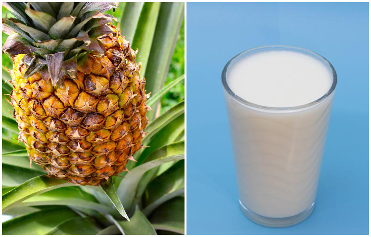 দুধ ও আনারস: দুধ এবং আনারস একসঙ্গে খেলে আপনি বমি, সংক্রমণ, ডায়রিয়া, মাথাব্যথা এবং এমনকি পাকস্থলীর ব্যথায় আক্রান্ত হতে পারেন। আনারসে থাকা ব্রোমালেইন এবং ল্যাকটিক এসিড একসঙ্গে মিশলে বিষক্রিয়া হয়।