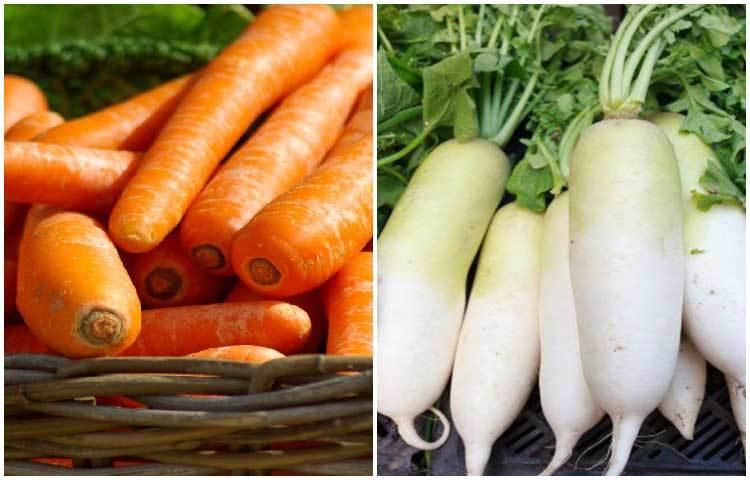 মূলজাতীয় সবজি: শীতে রোগবালাই দূর করতে এ মৌসুমের মূল জাতীয় সবজি দারুণ কার্যকর। বিট, মিষ্টি আলু, গাজর, শালগমের মতো নানা সবজি শীতে আপনাকে সুস্থ থাকতে সাহায্য করবে। এসব সবজিতে থাকা ভিটামিন ও নানা পুষ্টি উপাদান শরীরের রোগ প্রতিরোধ ক্ষমতা বাড়াবে।