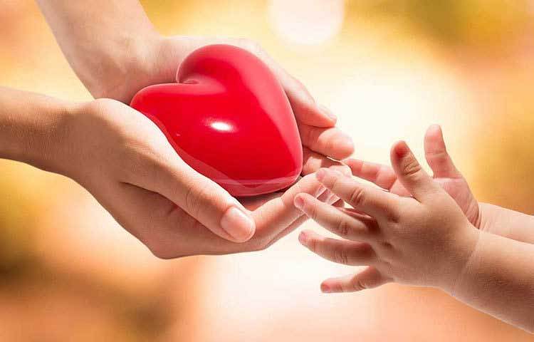 কম বয়স থেকেই হার্টের যত্ন নেয়া অভ্যাস করুন। বাড়িতে শিশু থাকলে তাকেও এ সম্পর্কে সচেতন করুন। হৃদযন্ত্রে জটিলতা না থাকলেও প্রতি তিন মাসে চেক আপ করান বাড়ির সব সদস্যের হার্ট। শৈশব থেকেই হার্টের যত্নের গুরুত্ব বুঝিয়ে শিশুকে এ সম্পর্কে সচেতন করে রাখুন।