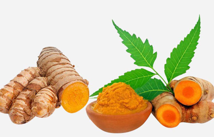 কাঁচা হলুদ আর দুধের মিশ্রণ দারুণ উপকারি। হলুদে আছে কারকিউমিন বলে একটি উপকরণ যা কোষ পুনর্গঠনে সাহায্য করে।