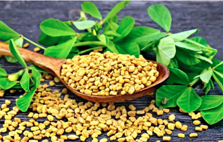 মেথি:  মেথি ঔষধি গুণের জন্য বেশি পরিচিত। রান্নার স্বাদ ও গন্ধ বাড়াতে অনেকেই এটি ব্যবহার করে থাকেন। মেথি বীজে ৪৫% ফাইবার থাকে, যা বেশিরভাগ ক্ষেত্রেই দ্রবণীয়। ফাইবার দীর্ঘ সময়ের জন্য থেকে শরীরে কার্ব এবং চর্বি গ্রহণের প্রক্রিয়াটি ধীর করে দেয়। মেথির বীজ রক্তচাপ কমাতেও উপকারী। আপনি সরাসরি এক চামচ মেথি চিবিয়ে দিনে দুইবার খেতে পারেন বা ১ চা চামচ মেথি একগøাস পানিতে সারারাত ভিজিয়ে রেখে সকালে পান করতে পারেন।