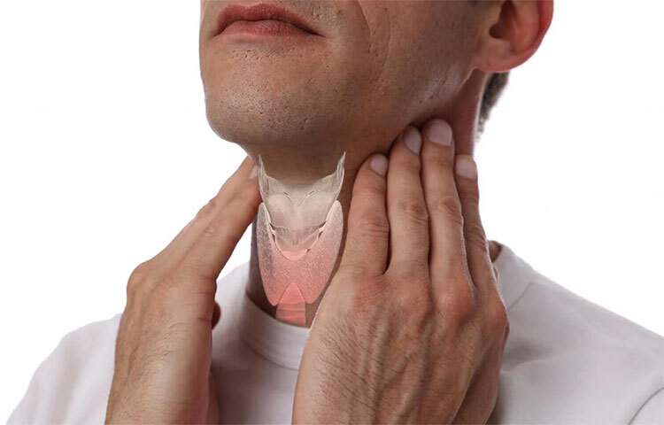 থাইরয়েড মানবদেহের একটি গুরুত্বপূর্ণ গ্রন্থি। থাইরয়েড গ্রন্থির সমস্যা দেখা দিলে বিভিন্ন রকম অসুখ হতে পারে শরীরে। তাই থাইরয়েড যাতে সঠিক থাকে সেদিকে খেয়ার রাখা প্রয়োজন। থাইরয়েডের সমস্যা কিন্তু যেকোনো বয়সে হতে পারে। ছবি: সংগৃহীত