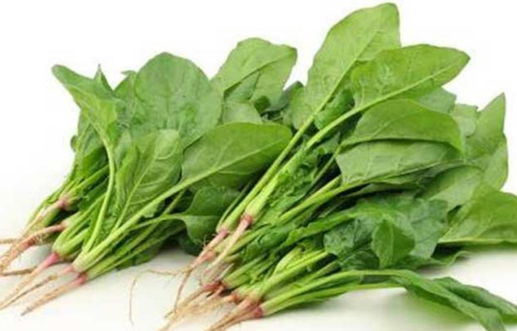 পালং শাকে রয়েছে ফাইবার, পটাশিয়াম, ভিটামিন এবং মিনারেল। এতে প্রচুর পরিমাণে অ্যান্টি অক্সিডেণ্ট পাওয়া যায় যা দেহের ফ্রি র‌্যাডিকেল ধ্বংস করে দেয় এবং ত্বকে বয়সের ছাপ পড়তে দেয় না।