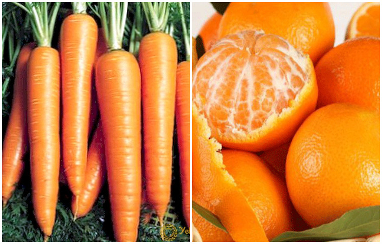গাজর ও কমলা: আপনার যদি বদহজমের সমস্যা থেকে থাকে তাহলে এই দুটি খাবারের সমন্বয় অবস্থা আরো খারাপ করে তুলতে পারে। এর ফলে এসিড রিফ্লাক্স, বুক জ্বালাপোড়া এবং এমনকি কিডনি রোগও হতে পারে।