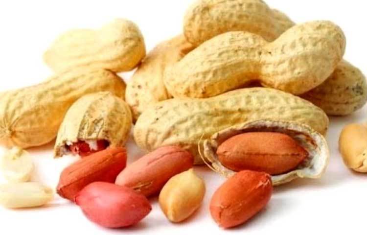 রক্তাস্বল্পতার হাত থেকে মুক্তি পেতে হলে প্রতিদিন চীনাবাদাম খাওয়া জরুরি। চীনাবাদামে থাকা আয়রন আপনাকে রক্তাস্বল্পতার সমস্যাকে দূরে রাখবে।