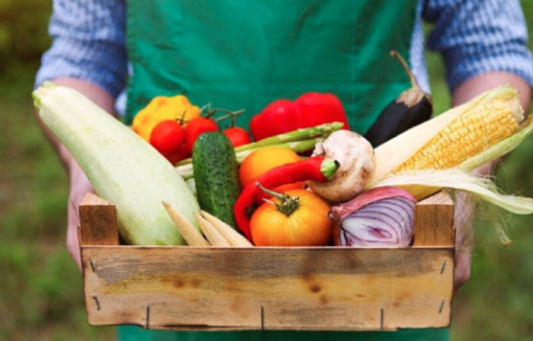 আপনার ঘরে কজন মানুষ, তারা কে কেমন খাদ্য খায়, প্রত্যেকের জন্য কতটা খাবার বরাদ্দ হবে এই তালিকাটা আগে থেকে করা থাকা মানে অর্ধেক কাজ সারা। আপনি সহজেই বাঁচাতে পারবেন অপচয়।