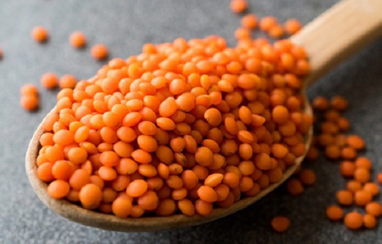 আয়রনের জন্য নিরামিষাশীরা ভরসা করতেই পারেন ডালের উপর। আয়রনে সঙ্গে ডাল থেকে পাবেন ভিটামিন বি, ম্যাগনেসিয়াম, পটাশিয়াম ও জিঙ্ক। ছবি: সংগৃহীত