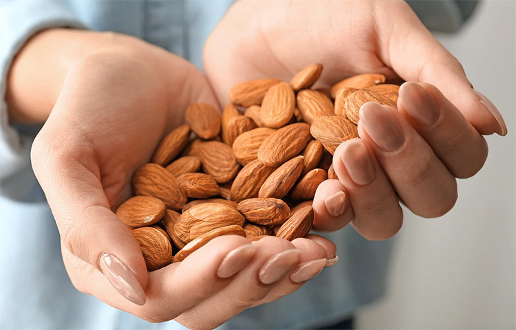 ব্রেকফাস্টে আমন্ড বাদাম রাখুন। প্রতিদিন ব্রেকফাস্টের সময়ে দুটো করে আমন্ড বাদাম ত্বক ও চুল দুইয়ের পক্ষেই খুব উপকারী। ছবি: সংগৃহীত