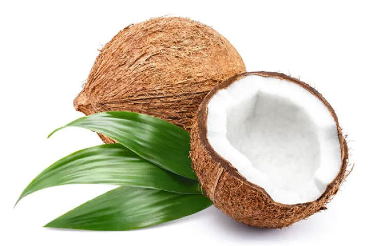 নারকেল থাইরয়েডে ভোগা রোগীদের জন্য বেশ উপকারী। নারকেলে থাকে ‘মিডিয়াম চেন ফ্যাটি অ্যাসিড’ এবং ‘মিডিয়াম চেন ট্রাই গ্লিসারাইড’। নারকেল তেলে রান্না বা নারকেল খেলেও উপকার পাওয়া যাবে। ছবি: সংগৃহীত