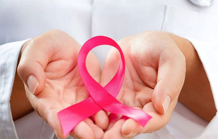 হৃদরোগ, ডায়াবেটিসসহ একাধিক রোগ মোকাবিলার জন্য বিশেষজ্ঞরা সারাপৃথিবীতে স্বাস্থ্যকর ডায়েটের কথা বলেন। সেই ডায়েটে গুরুত্বপূর্ণ ভূমিকা আছে সুপারফুডের। তার মধ্যে কিছু সুপারফুড কার্যকর ক্যানসার প্রতিরোধে। ছবি: সংগৃহীত