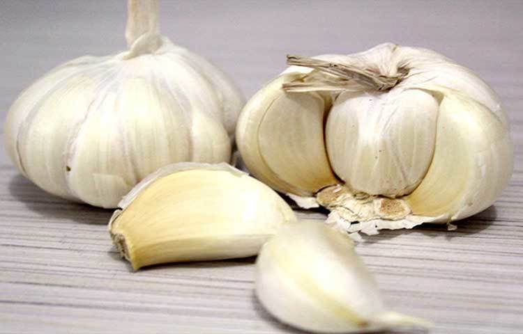 রসুন: শরীরে রক্ত চলাচল বৃদ্ধি করে। এছাড়া শরীরের ব্যথা দূর করে। তাই ভর্তার সঙ্গে রসুন অথবা রসুনের তেল ব্যবহার করতে পারেন।