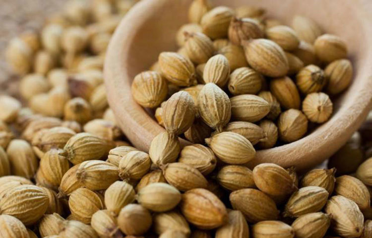 ধনিয়া: আমাদের দেহে এলডিএল নামক একধরনের ক্ষতিকর কোলেস্টেরল থাকে, যা দেহের শিরা-উপশিরার দেয়ালে জমে হৃৎপিন্ডে রক্ত চলাচলে সমস্যা বাড়ায়। এর কারণে হার্ট অ্যাটাক হওয়ার আশঙ্কা থাকে। ধনে এই ক্ষতিকর কোলেস্টেরল কমিয়ে দেয়।