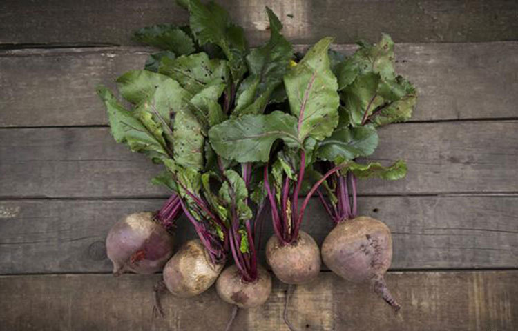 ফিটনেস জুস: নিয়মিত বিট অথবা পালং-এর রস বা জুস পান করলে তা রক্তচাপ কমিয়ে ধমনীকে স্ফিত করে, যা শরীরের অক্সিজেন চলাচলে সহায়তা করে। ফলে হৃদপিন্ড থাকে সুস্থ।