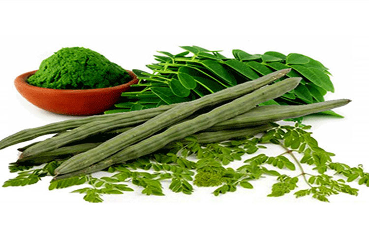 সজনে পাতা বা ডাঁটার ঝোল বাঙালিদের পছন্দের খাবার। সজনেতে আছে ভিটামিন এ, যা রোগপ্রতিরোধে সাহায্য করে।