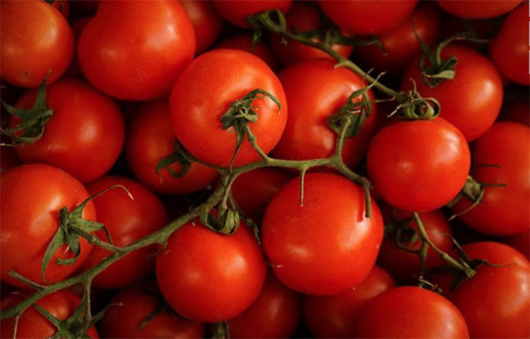 শসা পুষ্টিগুণে ভরপুর একটি সবজি। শশার মধ্যে রয়েছে ভিটামিন কে, ভিটামিন বি, কপার, পটাশিয়াম, ভিটামিন সি, ম্যাঙ্গানিজ।