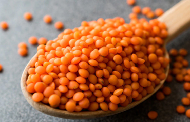 ভালো কোলস্টেরল বজায় রাখতে প্রতিদিনের ডায়েটে রাখতে হবে ডাল। হার্টের জন্য তো বটেই, উচ্চ রক্তচাপ নিয়ন্ত্রণেও উপকারী ডাল। তবে এক্ষেত্রেও প্যাকেটজাত চকচকে ডালের চেয়ে খুচরা বাজার থেকে বাইরের ডাল খেলেই ভালো। ছবি: সংগৃহীত
