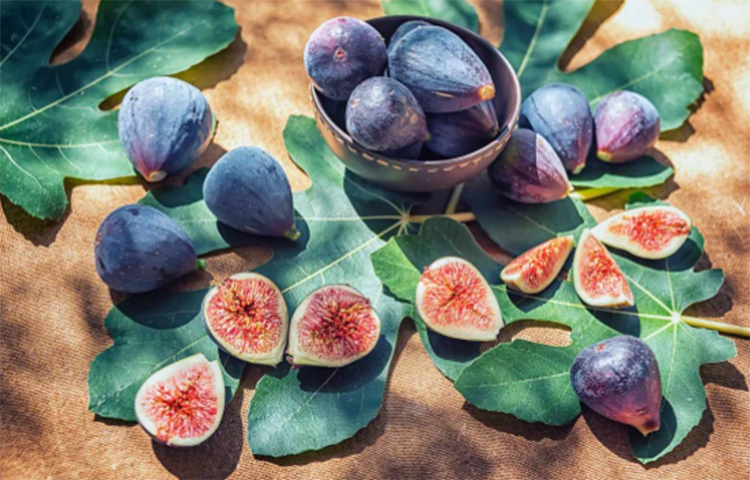 ডুমুর ফাইবার সমৃদ্ধ ফল। ডুমুরে আছে খনিজ, ভিটামিন এ, বি-১, বি-২, ক্যালসিয়াম, আয়রন, ফসফরাস, ম্যাঙ্গানিজ, সোডিয়াম, পটাশিয়াম এবং ক্লোরিন। দুটি মাঝারি মাপের ডুমুরের দানায় আছে ৫৫ মিলিগ্রাম ক্যালসিয়াম। ছবি: সংগৃহীত