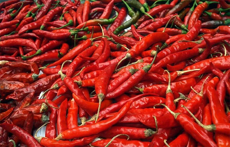 শরীরের উষ্ণতা ধরে রাখতে শুকনো মরিচের জুড়ি নেই। শুকনো মরিচে আছে পটাশিয়াম, ম্যাঙ্গানিজের মতো উপকারী উপাদান। স্বাস্থ্যের জন্য সেগুলো ভীষণ উপকারী। রক্ত জমাট বাঁধার মতো শারীরিক সমস্যায় কার্যকরী এই উপকরণগুলো। ছবি: সংগৃহীত