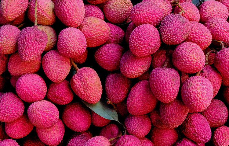 রসালো ও মিষ্টি লিচু সবাই পছন্দ করে। গরমে শরীর ঠান্ডা রাখতে অবশ্যই লেচু খেতে হবে। ছবি: সংগৃহীত