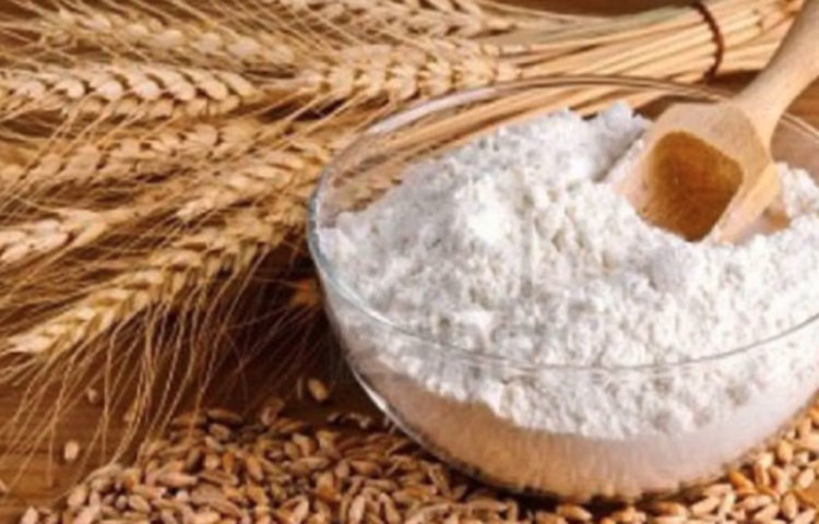 ময়দা: ওজন বৃদ্ধি, হজমের সমস্যা, ময়দার অপকারিতা অনেক। চিকিৎসকদের পরামর্শ মানলে, ময়দা ছেড়ে সব সময়েই আটার তৈরি রুটি, নুডল ইত্যাদি খাওয়া উচিত।