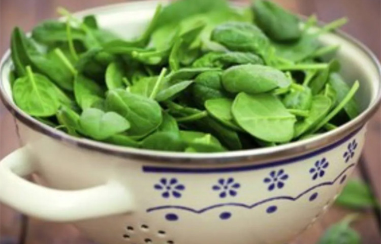 পালং শাক, ব্রোকোলি, বাঁধাকপির মতো শাকসবজিও রাখুন ডায়েটে। আয়রনের আধার হিসেবে এই সবজিগুলোও গুরুত্বপূর্ণ। এই ধরনের খাবারগুলো ডায়টে মিলিয়ে মিশিয়ে রাখলে নিরামিষাশীরা সহজেই স্বল্পমূল্যে আয়রন পাবেন। ছবি: সংগৃহীত